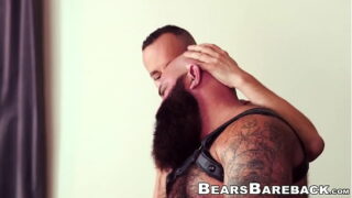 Big romantic bear barebacked by gentle cub