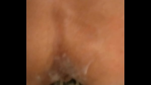 Pitlover playing with toy