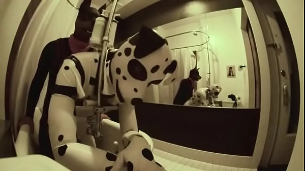 Dirty pups in the hotel room