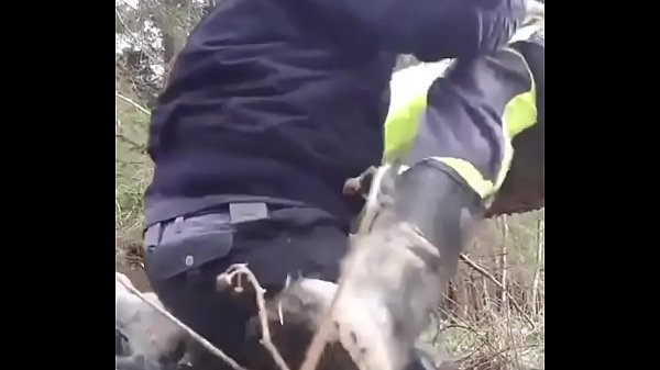 Guarda vigilante le chupa la verga al supervisor